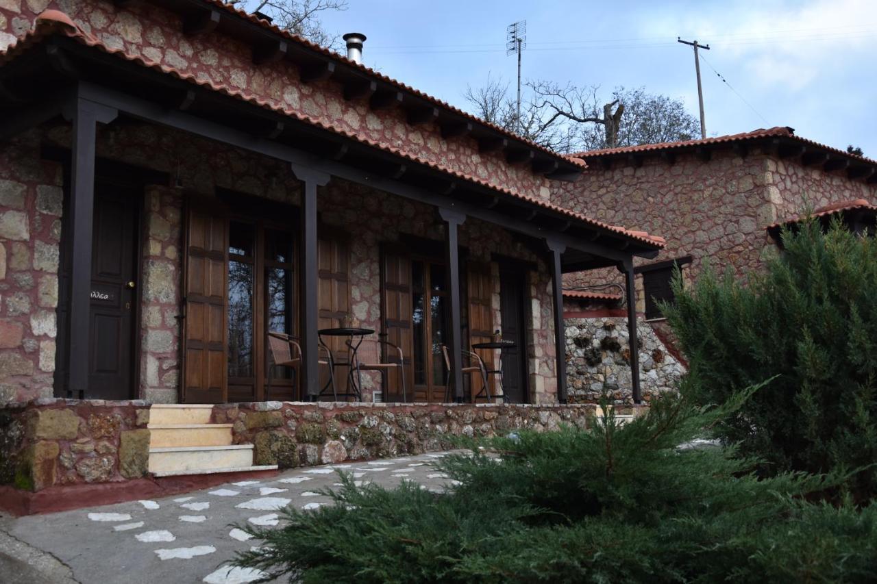 Paliokastro Guesthouse Kato Sinikia Trikalon Zewnętrze zdjęcie